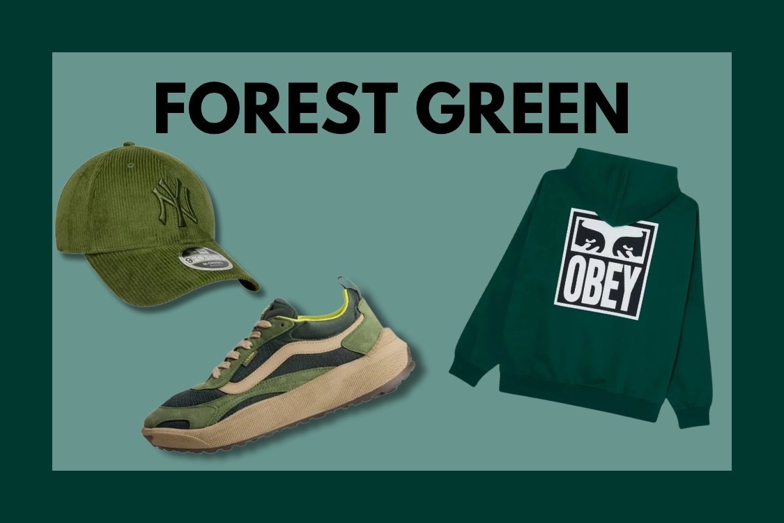 forest-green forest-green